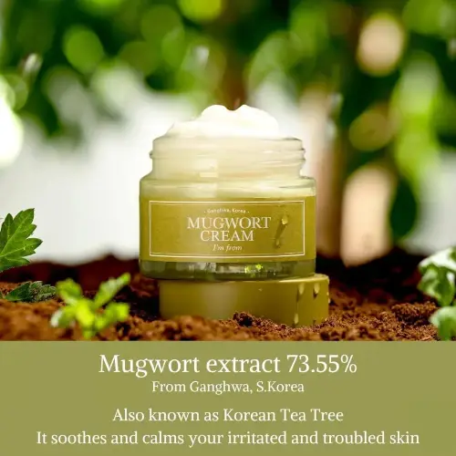I'm From Mugwort Cream 50g product image